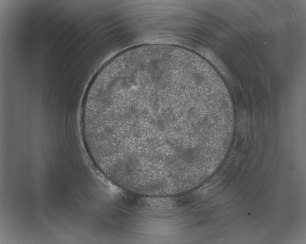 X0000074040856200609061206