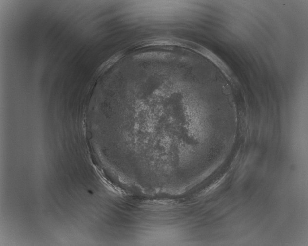 X0000074040857200609061206