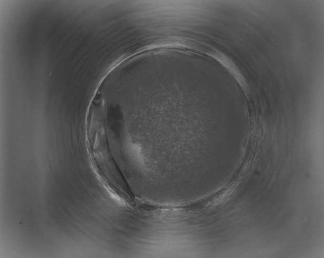 X0000074040858200609061206