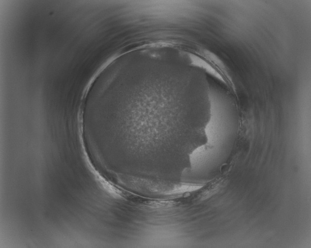 X0000074040859200609061206