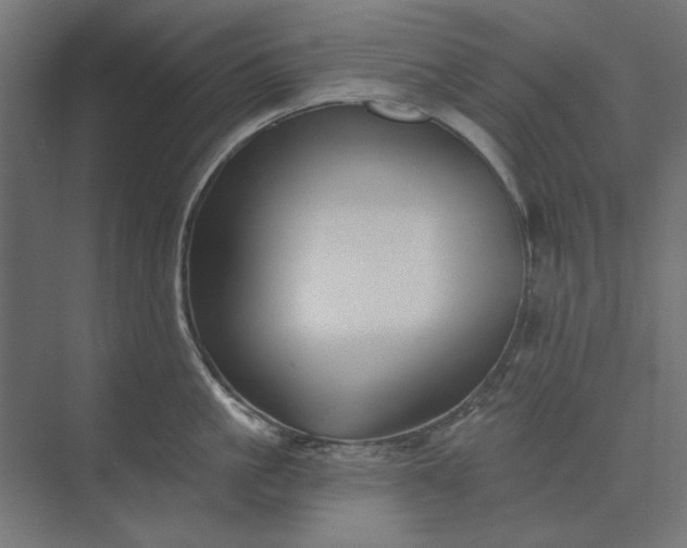 X0000074040861200609061206