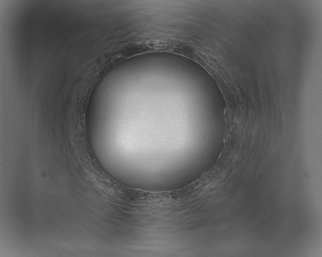 X0000074040865200609061205