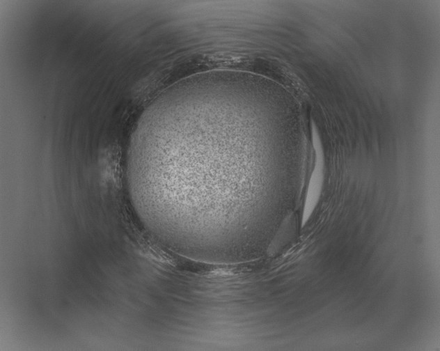 X0000074040867200609061205