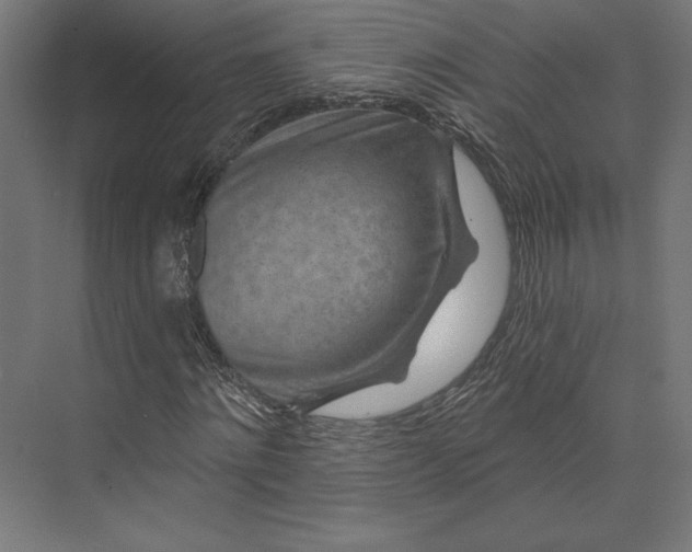 X0000074040868200609061205