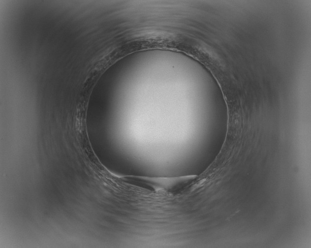 X0000074040869200609061205