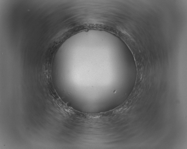 X0000074040870200609061205