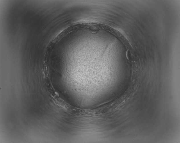 X0000074040871200609061205