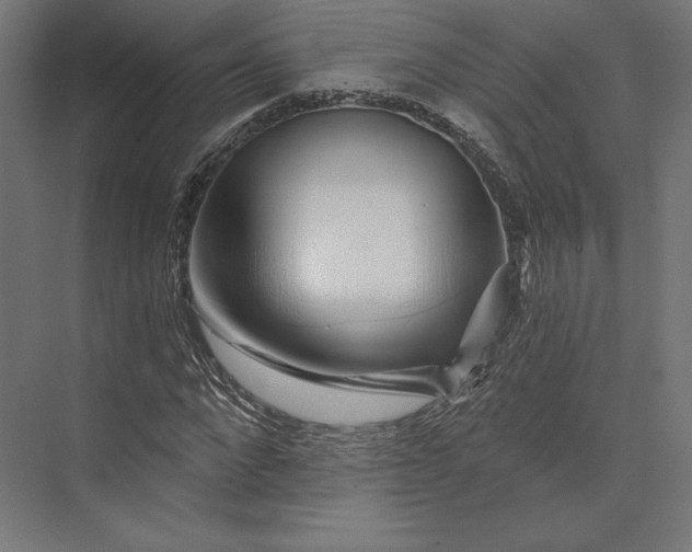 X0000074040872200609061205