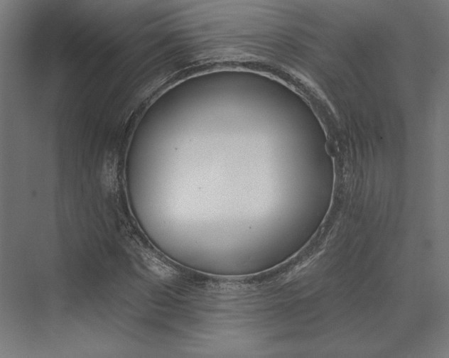 X0000074040873200609061205