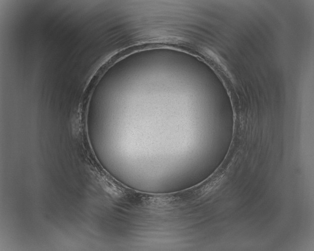 X0000074040875200609061205