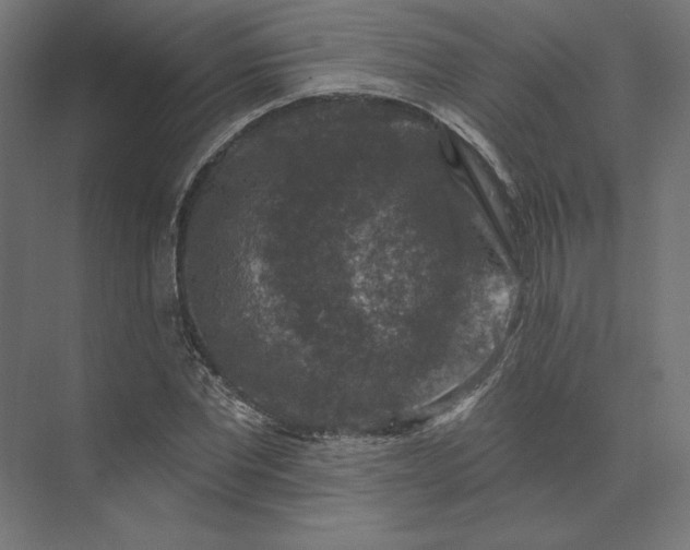 X0000074040877200609061205