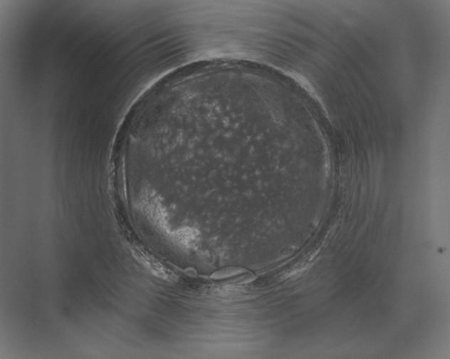 X0000074040879200609061205