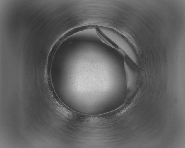 X0000074040880200609061205