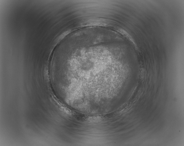 X0000074040882200609061205