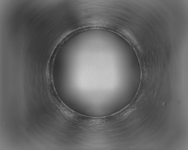 X0000074040883200609061205