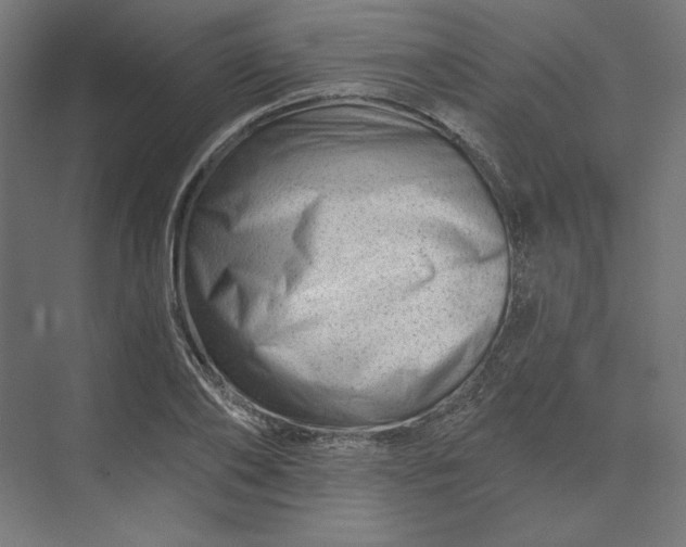 X0000074040886200609061205