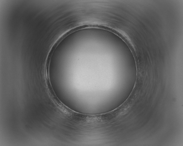 X0000074040887200609061205