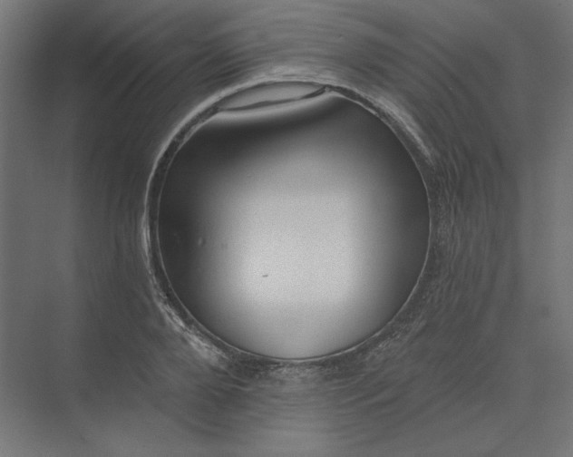 X0000074040888200609061205