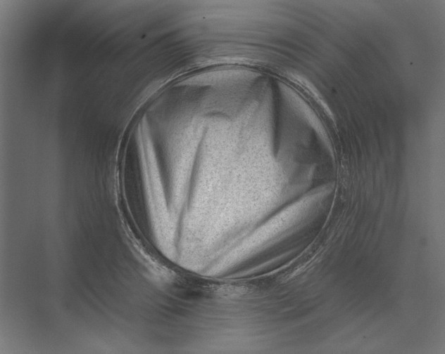 X0000074040890200609061204