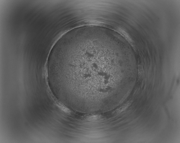 X0000074040891200609061204