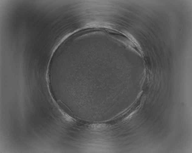 X0000074040893200609061204