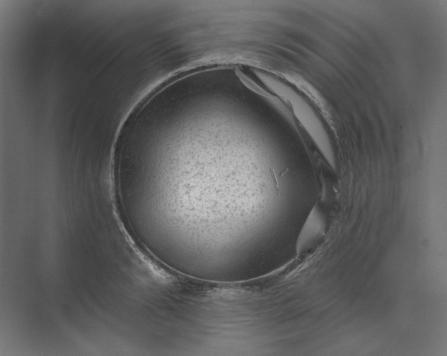 X0000074040894200609061204