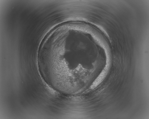 X0000074040895200609061204