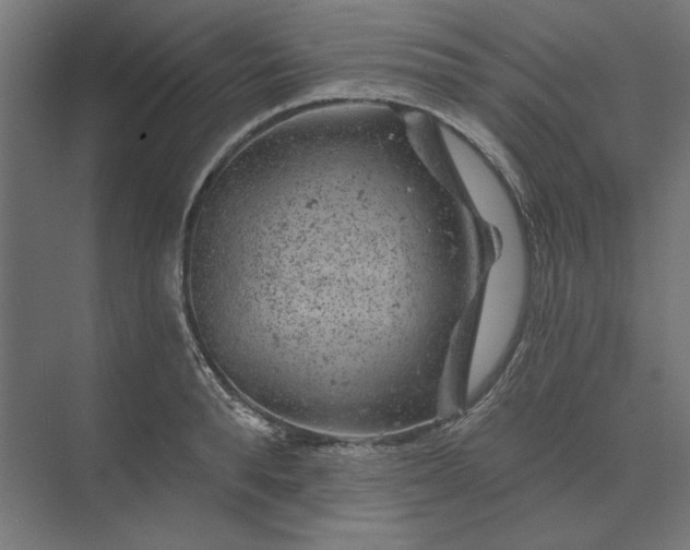 X0000074040896200609061204