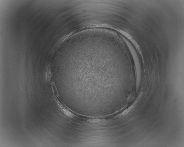 X0000074040897200609061204