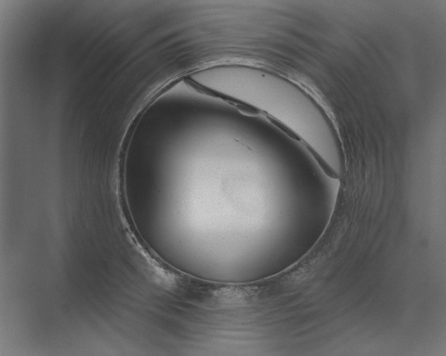 X0000074040898200609061204