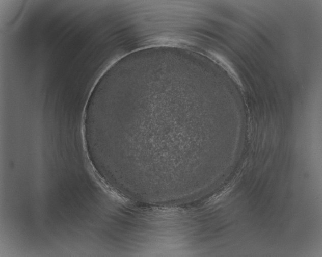 X0000074040899200609061204