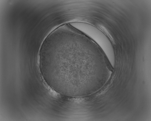 X0000074040900200609061204