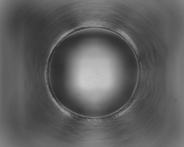 X0000074040901200609061204