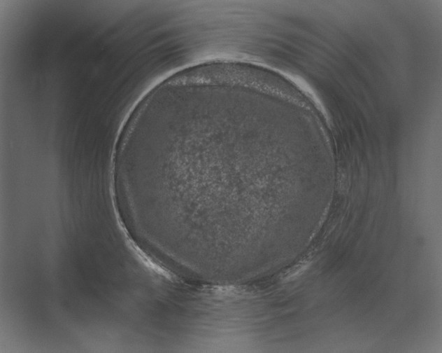 X0000074040903200609061204