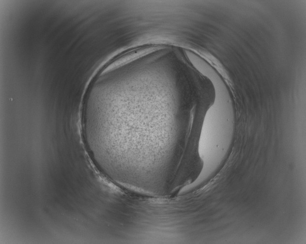 X0000074040904200609061204