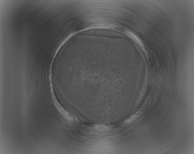 X0000074040907200609061204