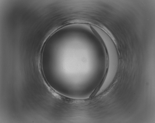 X0000074040909200609061204