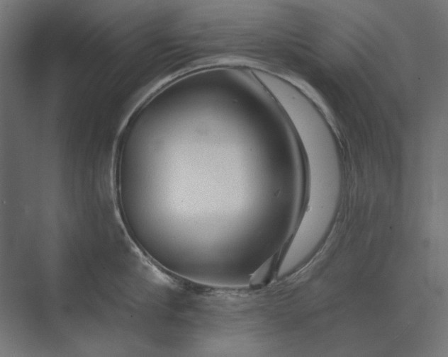 X0000074040910200609061204