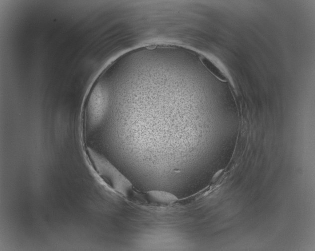 X0000074040911200609061204