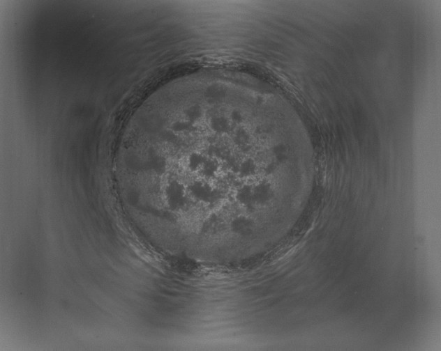 X0000074040913200609061203