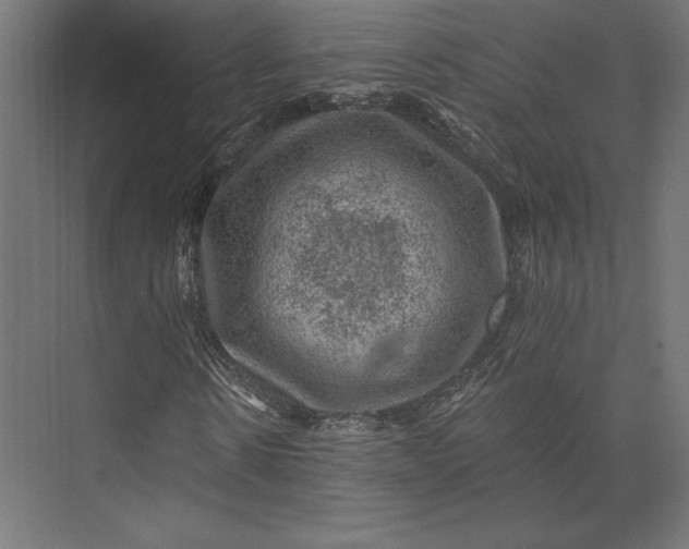 X0000074040914200609061203