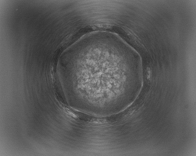 X0000074040915200609061203