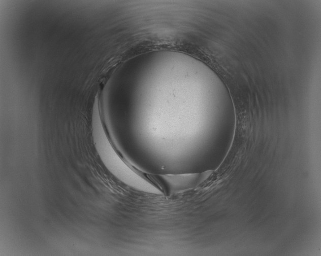 X0000074040916200609061203