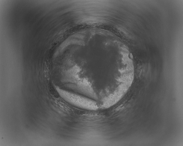 X0000074040917200609061203