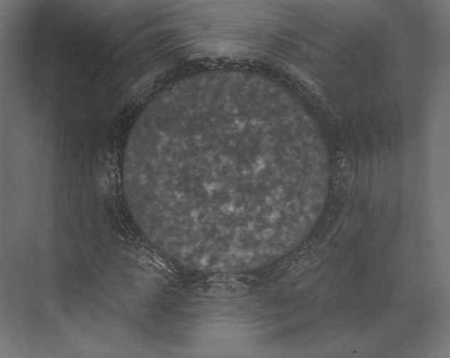 X0000074040918200609061203