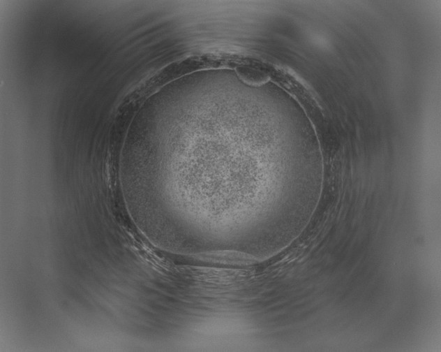 X0000074040919200609061203