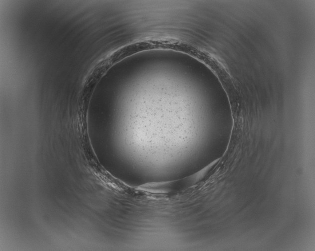 X0000074040920200609061203