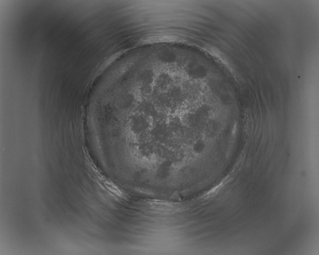 X0000074040921200609061203