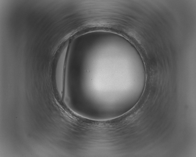 X0000074040922200609061203