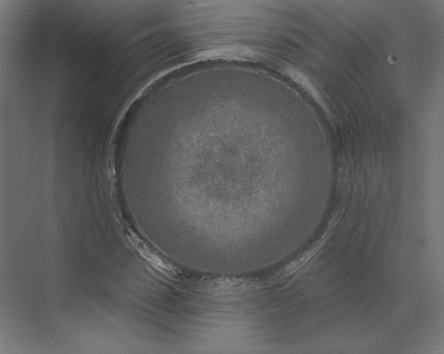 X0000074040923200609061203